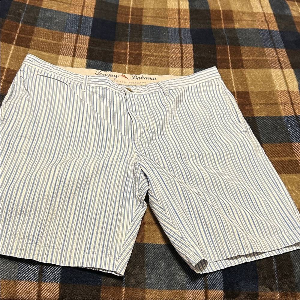 Tommy Bahama White and Blue Striped Men's Shorts
